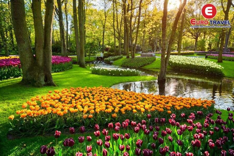 Đắm mình với hoa Tulip trong Vườn hoa Keukenhof Hà Lan