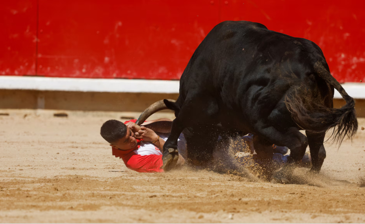 San Fermín - Lễ hội Bò đuổi Tây Ban Nha